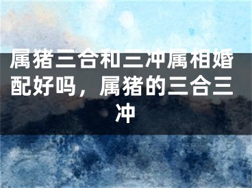 属猪三合和三冲属相婚配好吗，属猪的三合三冲