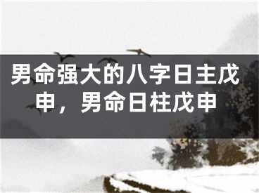 男命强大的八字日主戊申，男命日柱戊申