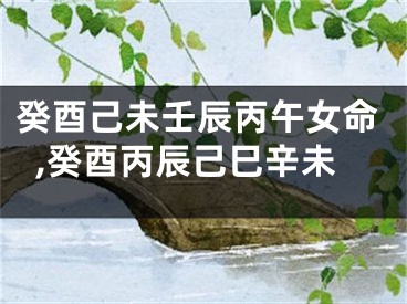 癸酉己未壬辰丙午女命,癸酉丙辰己巳辛未
