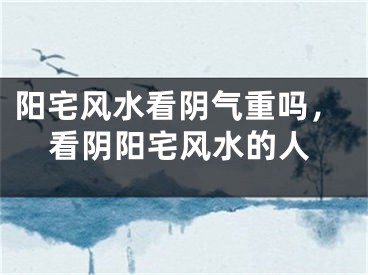 阳宅风水看阴气重吗，看阴阳宅风水的人