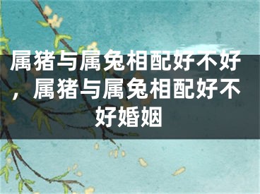 属猪与属兔相配好不好,属猪与属兔相配好不好婚姻