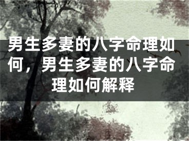 男生多妻的八字命理如何，男生多妻的八字命理如何解释