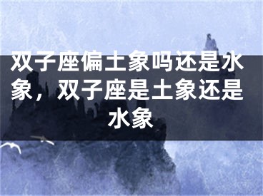 双子座偏土象吗还是水象，双子座是土象还是水象