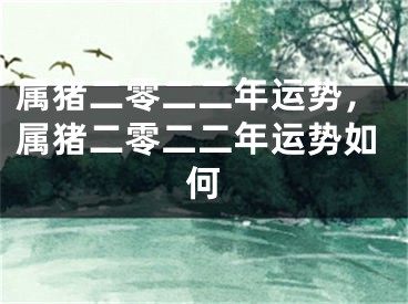 属猪二零二二年运势,属猪二零二二年运势如何