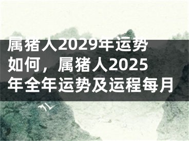 属猪人2029年运势如何,属猪人2025年全年运势及运程每月
