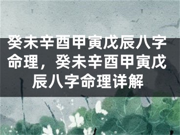 癸未辛酉甲寅戊辰八字命理，癸未辛酉甲寅戊辰八字命理详解