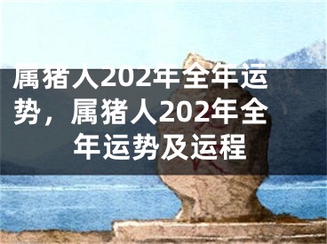 属猪人202年全年运势，属猪人202年全年运势及运程