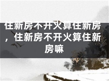 住新房不开火算住新房，住新房不开火算住新房嘛