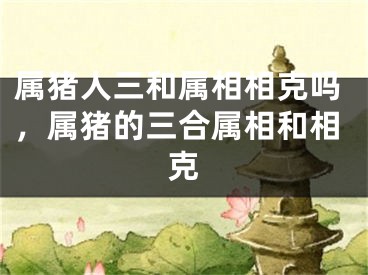 属猪人三和属相相克吗,属猪的三合属相和相克