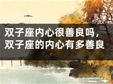 双子座内心很善良吗，双子座的内心有多善良
