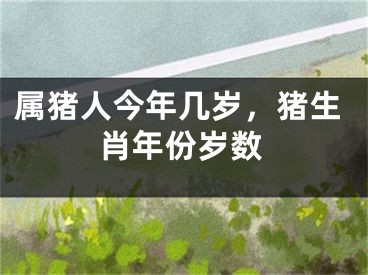 属猪人今年几岁,猪生肖年份岁数