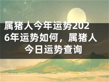 属猪人今年运势2026年运势如何,属猪人今日运势查询