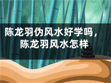 陈龙羽伪风水好学吗，陈龙羽风水怎样
