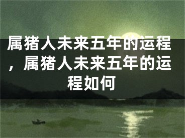 属猪人未来五年的运程，属猪人未来五年的运程如何