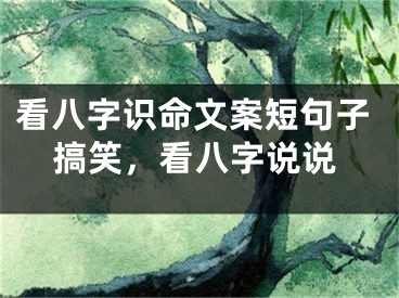 看八字识命文案短句子搞笑，看八字说说