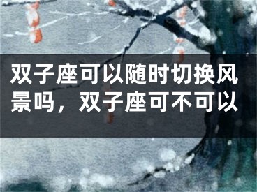 双子座可以随时切换风景吗，双子座可不可以