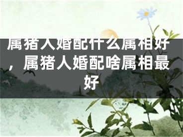 属猪人婚配什么属相好，属猪人婚配啥属相最好