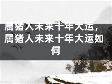属猪人未来十年大运,属猪人未来十年大运如何