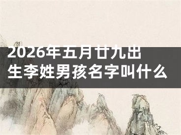 2026年五月廿九出生李姓男孩名字叫什么