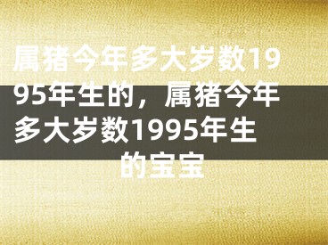 属猪今年多大岁数1995年生的，属猪今年多大岁数1995年生的宝宝