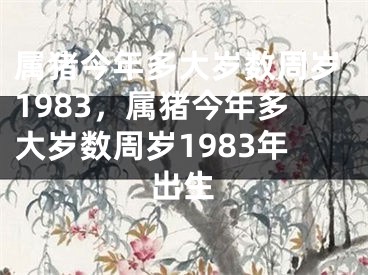 属猪今年多大岁数周岁1983，属猪今年多大岁数周岁1983年出生