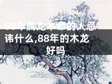 88年属龙木命的人忌讳什么,88年的木龙好吗