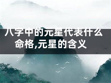 八字中的元星代表什么命格,元星的含义