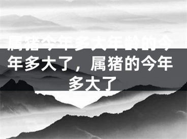 属猪今年多大年龄的今年多大了,属猪的今年多大了