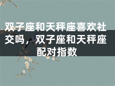 双子座和天秤座喜欢社交吗，双子座和天秤座配对指数