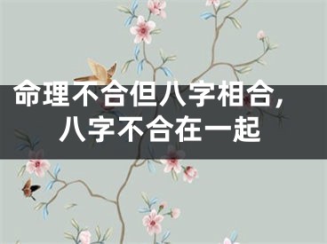 命理不合但八字相合,八字不合在一起