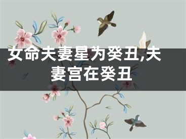 女命夫妻星为癸丑,夫妻宫在癸丑