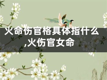 火命伤官格具体指什么,火伤官女命