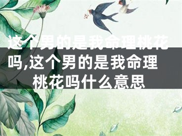 这个男的是我命理桃花吗,这个男的是我命理桃花吗什么意思