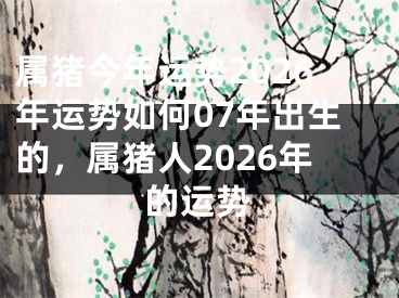 属猪今年运势2026年运势如何07年出生的,属猪人2026年的运势