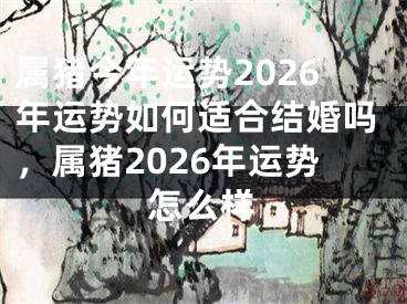 属猪今年运势2026年运势如何适合结婚吗,属猪2026年运势怎么样