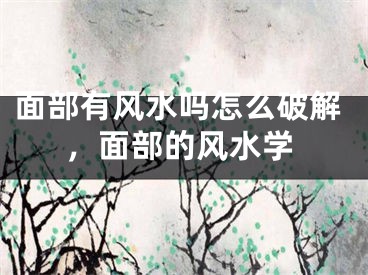 面部有风水吗怎么破解,面部的风水学