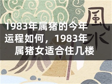 1983年属猪的今年运程如何，1983年属猪女适合住几楼