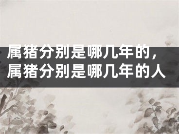 属猪分别是哪几年的,属猪分别是哪几年的人