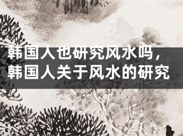 韩国人也研究风水吗，韩国人关于风水的研究