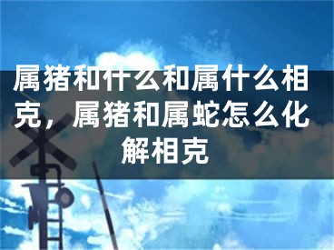 属猪和什么和属什么相克,属猪和属蛇怎么化解相克