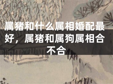 属猪和什么属相婚配最好,属猪和属狗属相合不合