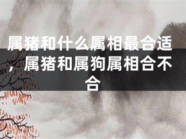 属猪和什么属相最合适,属猪和属狗属相合不合