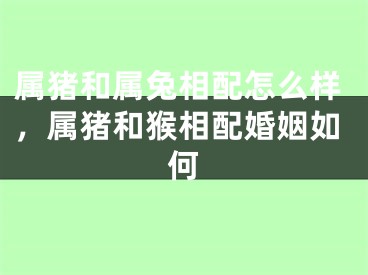 属猪和属兔相配怎么样,属猪和猴相配婚姻如何