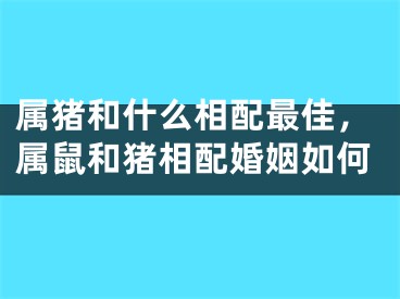 属猪和什么相配最佳,属鼠和猪相配婚姻如何