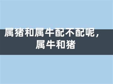 属猪和属牛配不配呢,属牛和猪