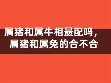 属猪和属牛相最配吗，属猪和属兔的合不合