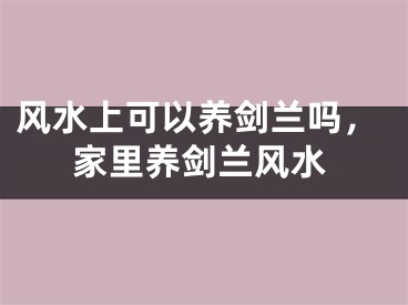 风水上可以养剑兰吗,家里养剑兰风水