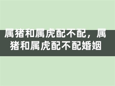 属猪和属虎配不配,属猪和属虎配不配婚姻