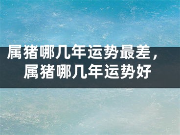 属猪哪几年运势最差，属猪哪几年运势好