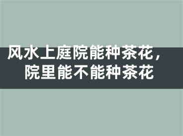 风水上庭院能种茶花，院里能不能种茶花